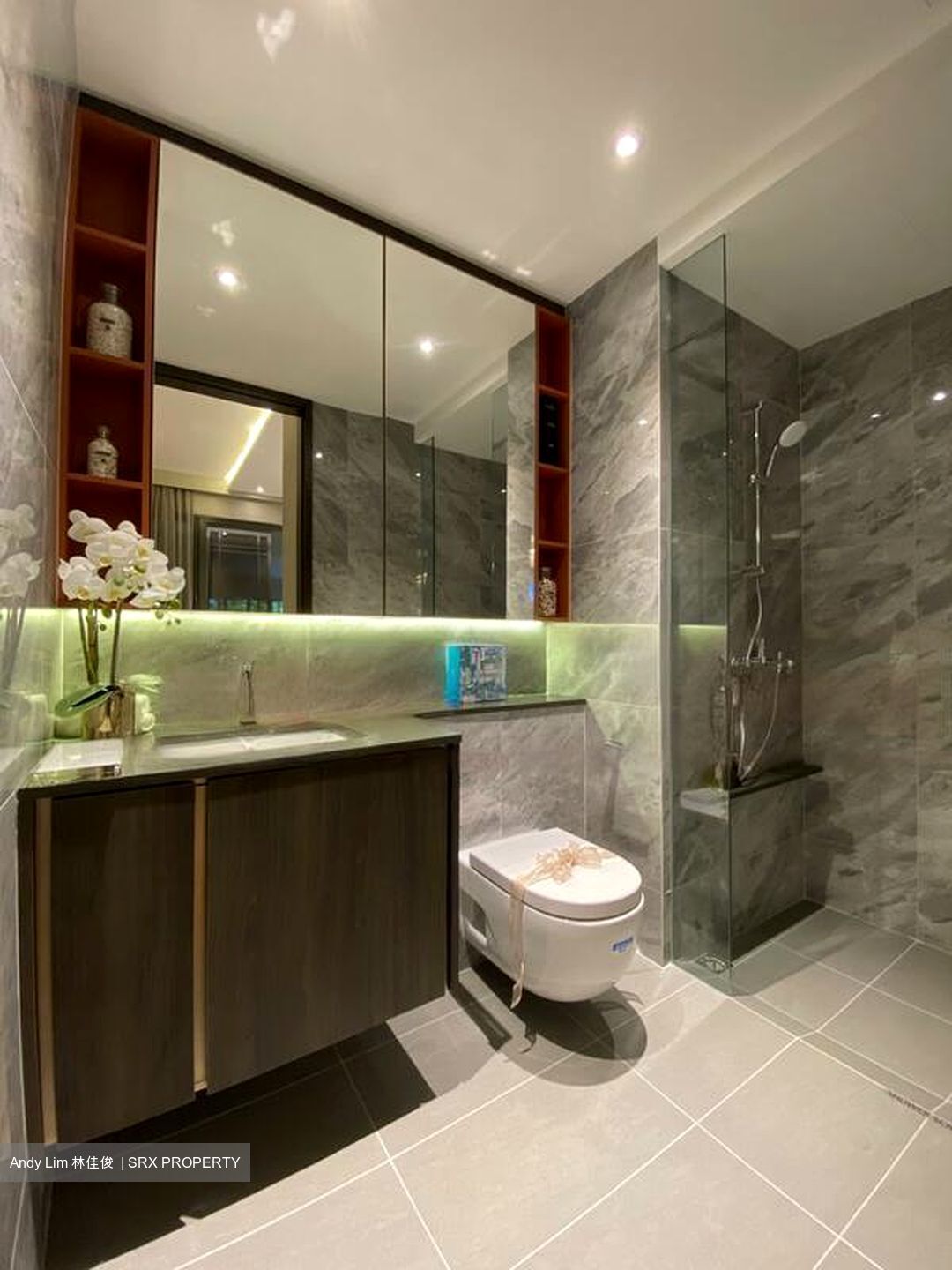 Clavon (D5), Apartment #457266901